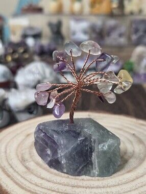 Flourite  Tree Of Life  2 In ( Mental Clarity)